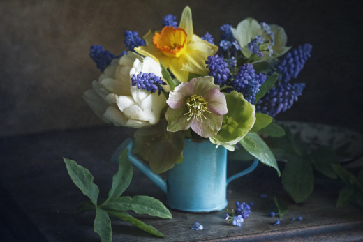 �1758913 �������(a): ����������:2500x1666